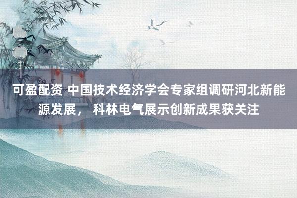 可盈配资 中国技术经济学会专家组调研河北新能源发展， 科林电气展示创新成果获关注