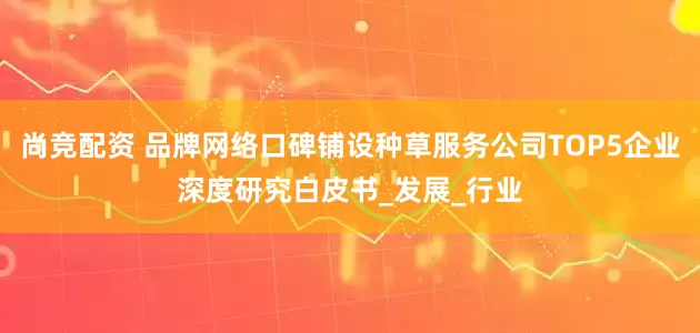 尚竞配资 品牌网络口碑铺设种草服务公司TOP5企业深度研究白皮书_发展_行业
