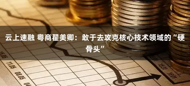 云上速融 粤商翟美卿：敢于去攻克核心技术领域的“硬骨头”